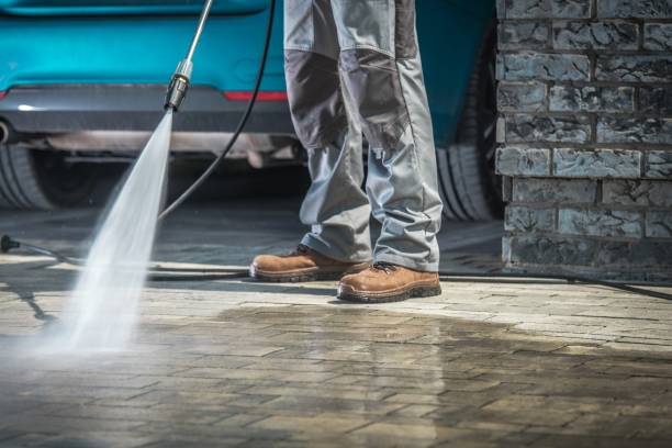 Best Gutter Cleaning  in Fall River, WI