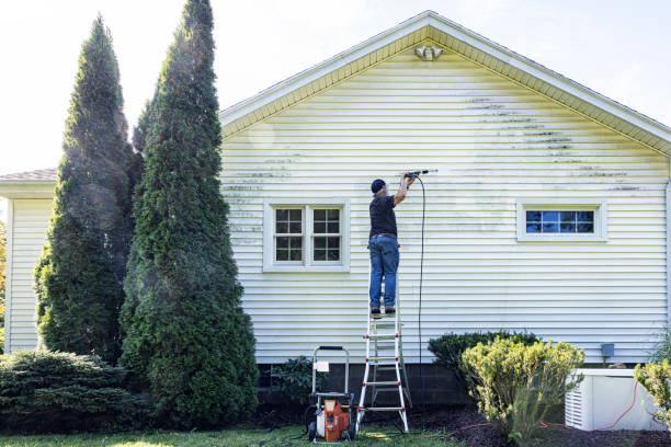 Best Sidewalk and Walkway Cleaning  in Fall River, WI